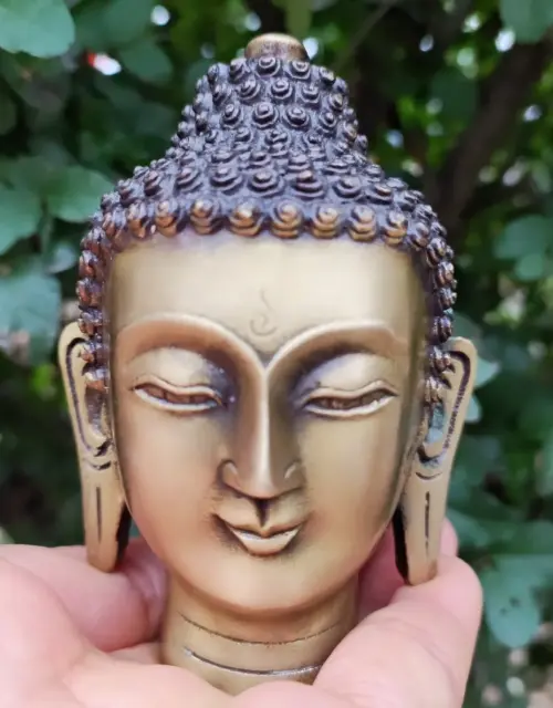Vintage Meditating Shakyamuni Buddha Head